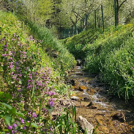 Feriehus River Valley *