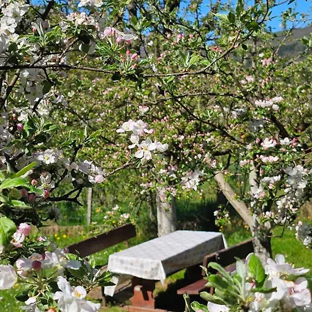 Nyaraló River Valley *