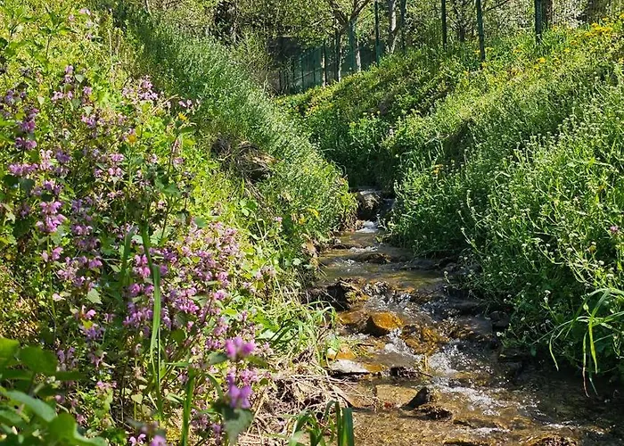 度假居 River Valley *