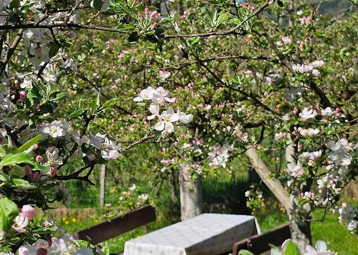 度假居 River Valley *